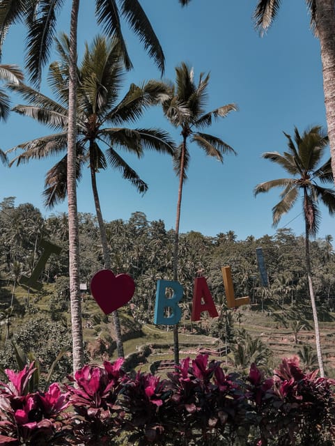 Ubud:Monkey Forest, Rice Terraces, Water Temples, Waterfalls - Pricing and Booking Details