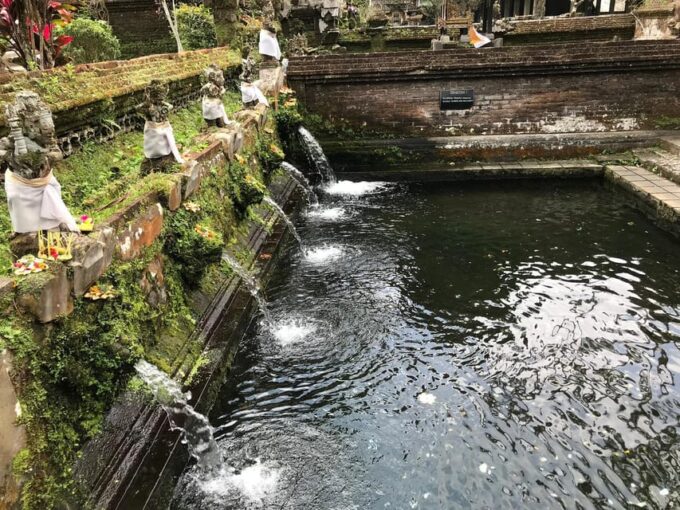 Ubud:Monkey Forest, Rice Terraces, Water Temples, Waterfalls - Customer Feedback