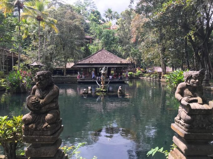 Ubud:Monkey Forest, Rice Terraces, Water Temples, Waterfalls - Trip Highlights