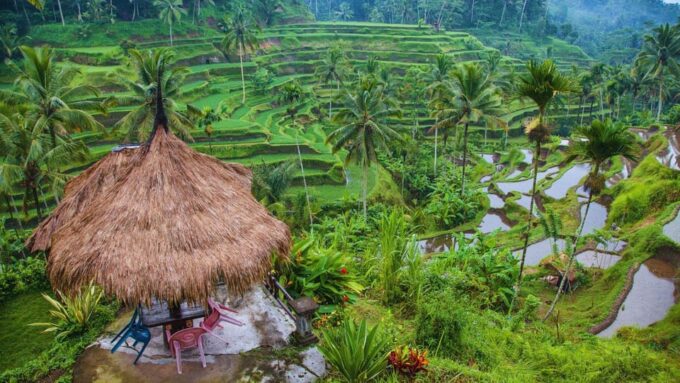 Ubuds Artistic Soul: Crafts, Culture, & Scenic Splendor - Frequently Asked Questions