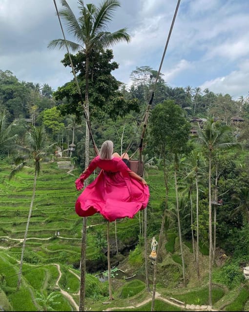 Ubudtours: Hidden Waterfalls , Rice Teras and Mongkey Forest - Key Points