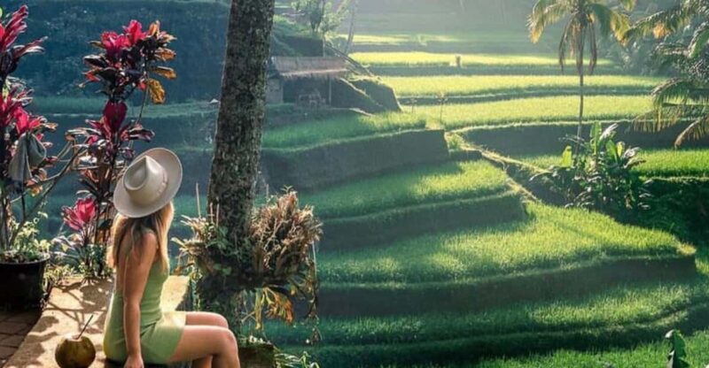Ubudtours: Hidden Waterfalls , Rice Teras and Mongkey Forest - Itinerary and Activities