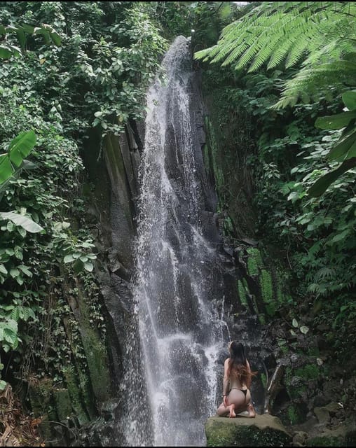 Ubudtours: Hidden Waterfalls , Rice Teras and Mongkey Forest - Cancellation and Payment