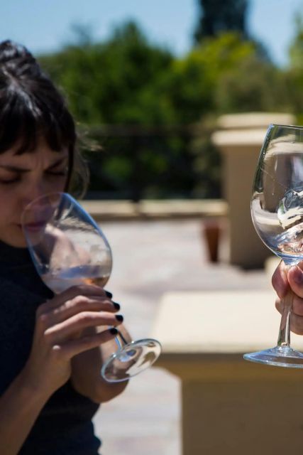 Uco Deluxe: Best Wineries and a Real Argentine Asado - Uncovering Michelini Mufattos Winemaking