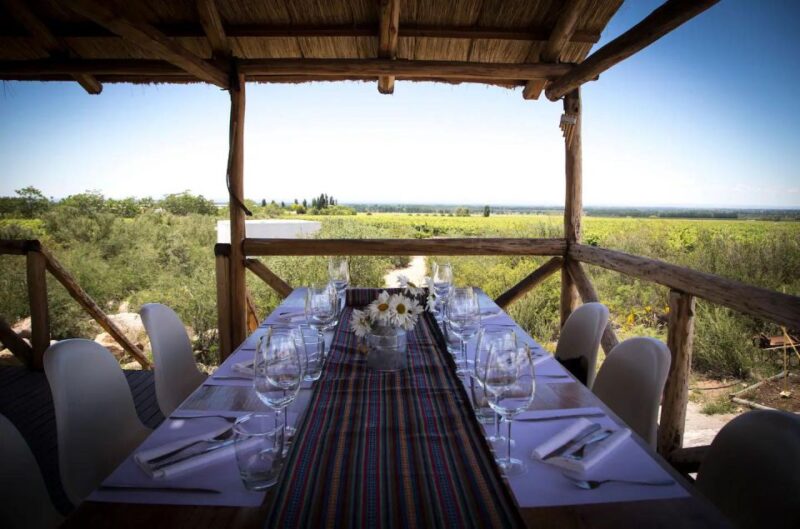 Uco Deluxe: Best Wineries and a Real Argentine Asado - Accessibility and Guided Tours