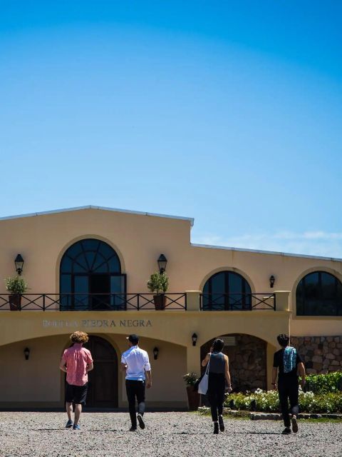 Uco Deluxe: Best Wineries and a Real Argentine Asado - Flexible Booking and Cancellation Policy