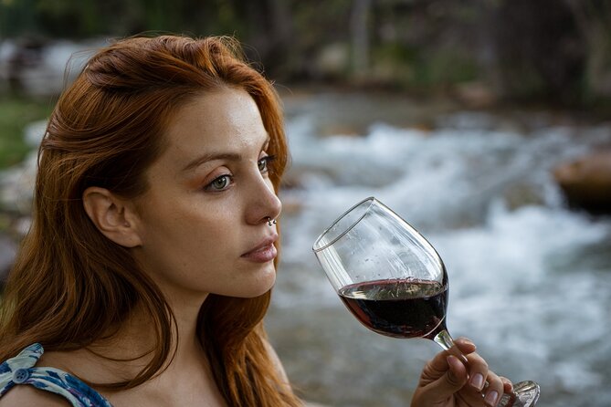 Uco Deluxe: Best Wineries and Real "Argentinian Asado" - Key Points