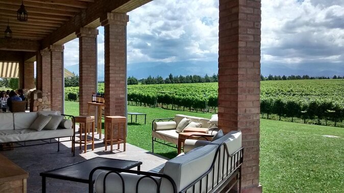 Uco Valley Wine Experience - The Best Private Wine Tour and Lunch - Family-run and Boutique Wineries Visited
