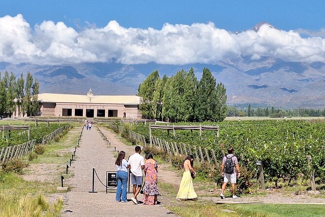 UCO VALLEY WINERIES DAY With PRIVATE DRIVER - Booking Information and Recommendations