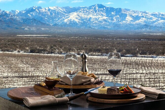 Uco Valley Winery Tour. Tasting + Premium Wine as a Gift - Customer Feedback Summary