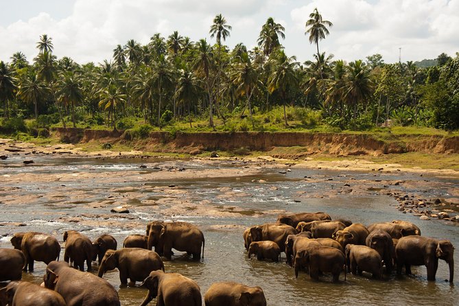 Uda Walawe Safari 1-Day-Tour From Mirissa, Weligama, Ahangama - Inclusions and Additional Information