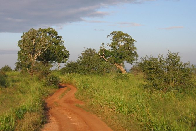 Uda Walawe Safari 1-Day-Tour From Mirissa, Weligama, Ahangama - Getting to the Meeting Point