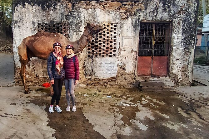Udaipur Bicycle Tour - Discover Local Stops