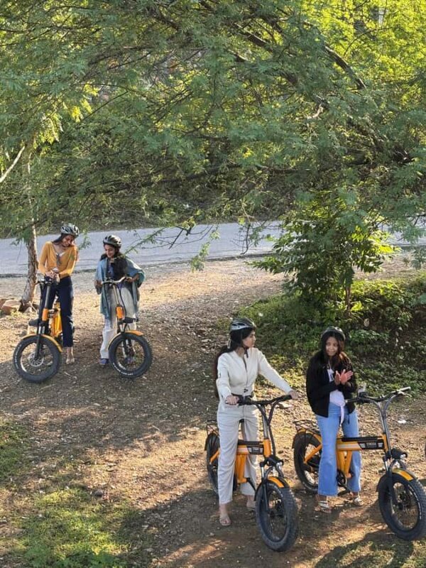 Udaipur: E-Cycling through lakes and villages - The Guide and Group Dynamics