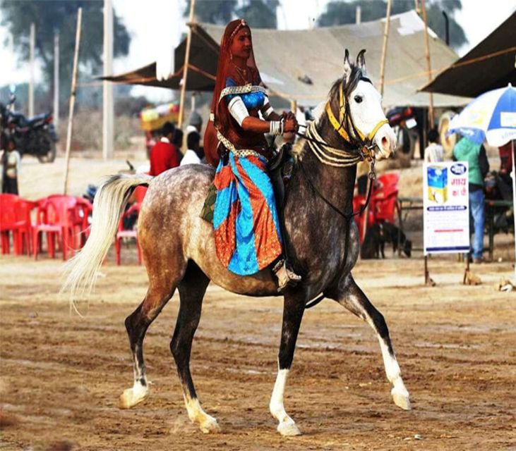 Udaipur: Evening Horse Riding Experience in the Countryside - Key Points