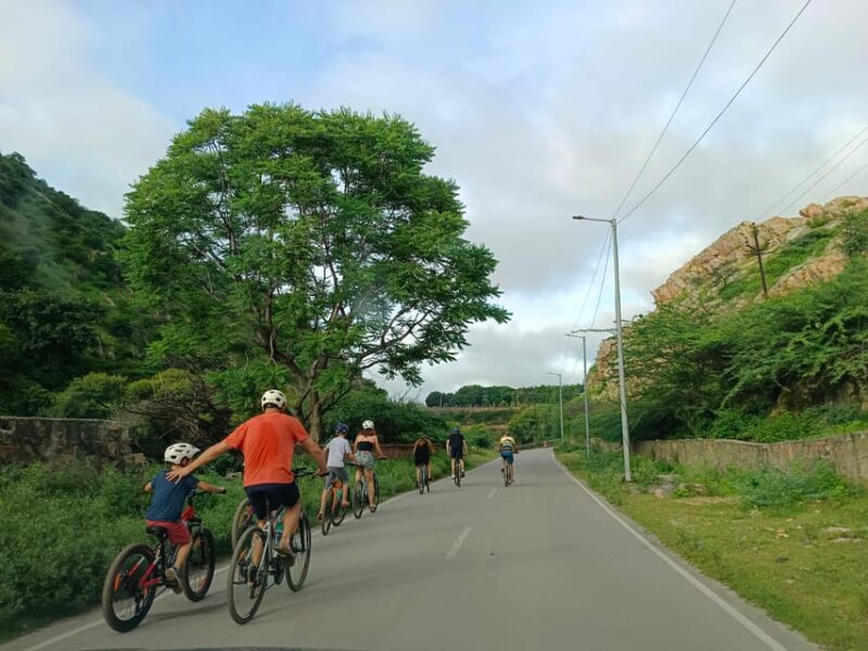 Udaipur to Ranakpur 60KM Cycling Tour With Jain Temple Visit - Participant Requirements