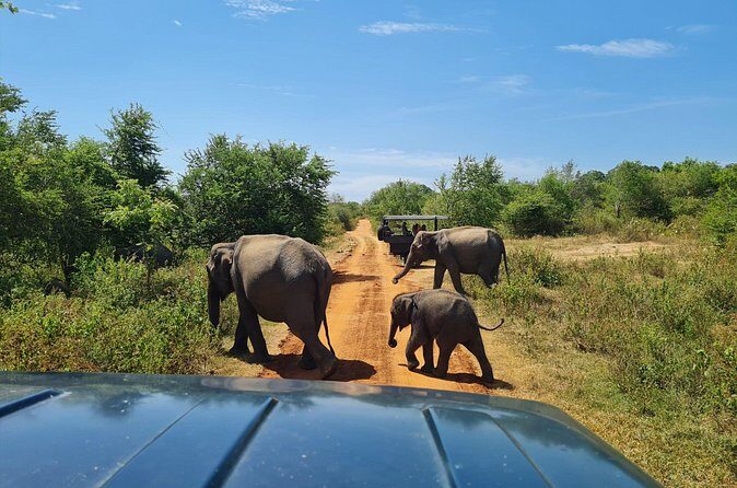 Udawalawa National Park All Inclusive Safari Tour from Hambantota - Pricing and Value