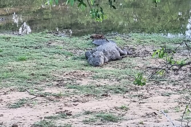Udawalawa National Park Day Tour - Health Considerations