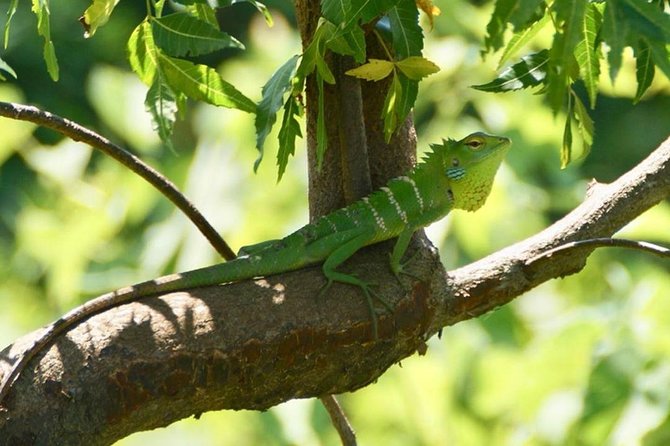 Udawalawa National Park Half Day Safari - Cancellation Policy