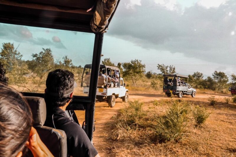 Udawalawa National Park: Private Safari - Wildlife and Ecosystem