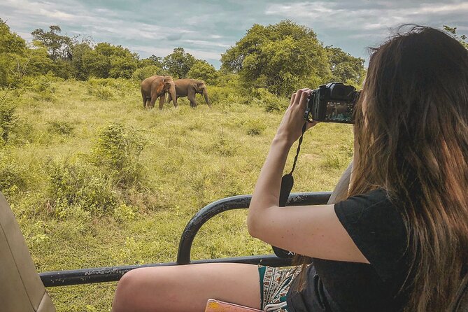 Udawalawa Safari Drive From Galle, Weligama, Mirissa & Dickwella - Pickup Information