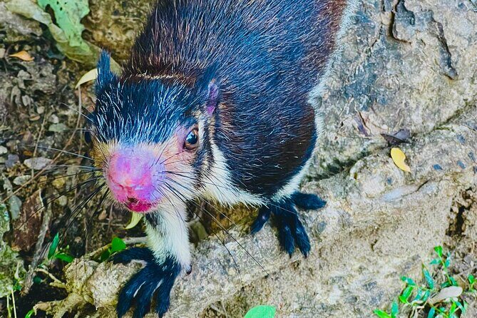 Udawalawa Wild Life Safari - Who Will Love This Tour?