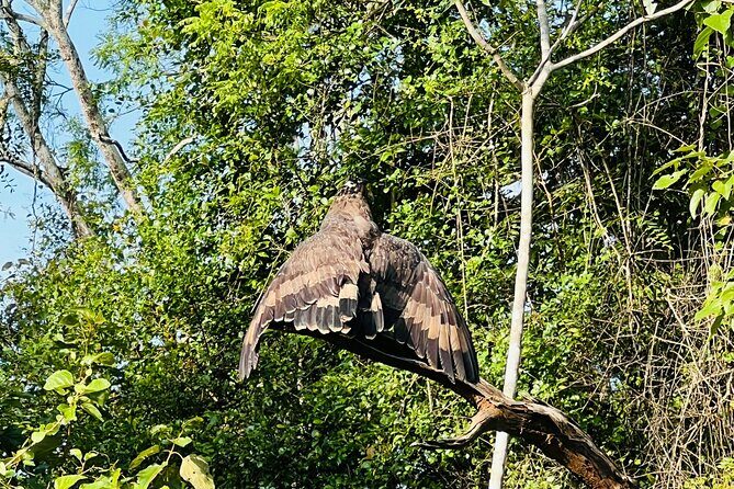 Udawalawa Wild Life Safari - Who Might Find This Less Suitable?