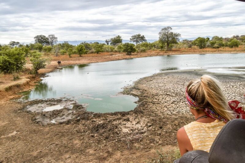 Udawalawe: Full-Day Safari Experience With Lunch - Key Points