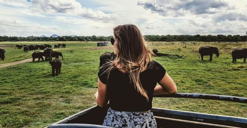 Udawalawe: Full-Day Safari Experience With Lunch - Key Wildlife Highlights