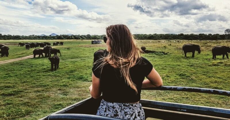 Udawalawe: Full-Day Safari Experience With Lunch - Itinerary at a Glance