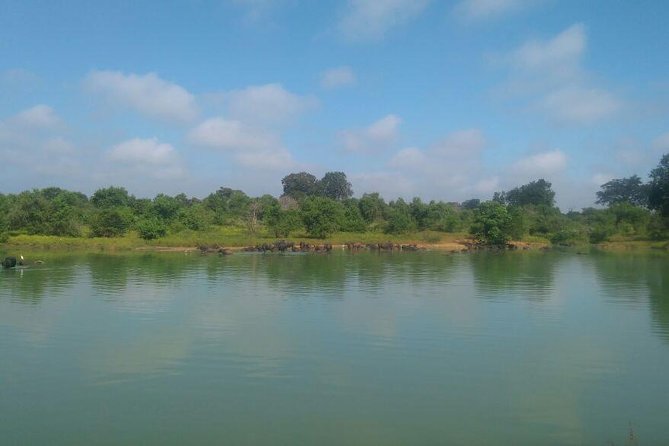 Udawalawe Jeep Safari - Ahungalla & Kosgoda Hotels - Health and Accessibility
