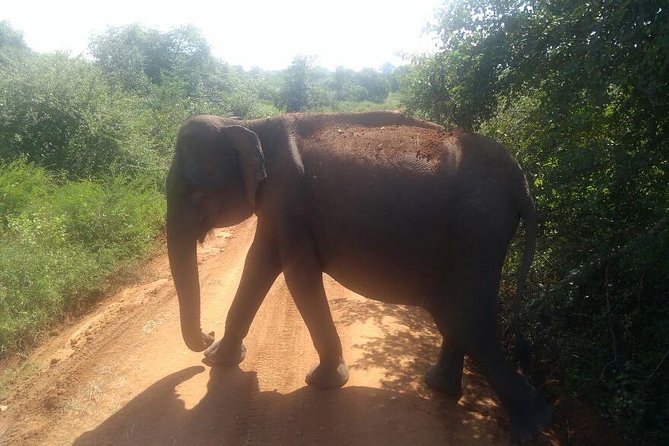 Udawalawe Jeep Safari - Ahungalla & Kosgoda Hotels - Cancellation Policy
