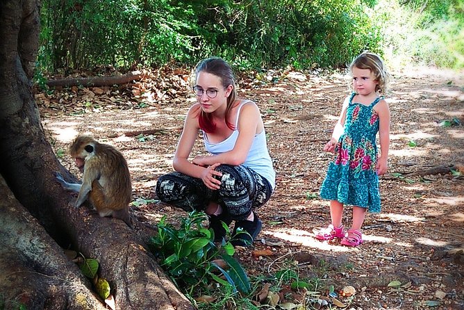 Udawalawe National Park | 3 Hours Safari Tour (Jeep Only) - Inclusion and Meeting Details