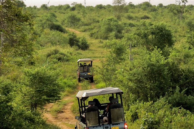 Udawalawe National Park Entrance Ticket - Accessibility and Recommendations