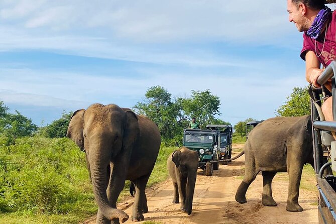 Udawalawe National Park Half Day Jeep Safari (Private Tour) - Safari Highlights
