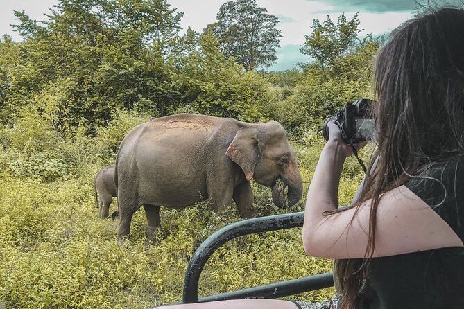 Udawalawe National Park Jeep Safari From Ella / Bandarawela - Diverse Wildlife Sightings