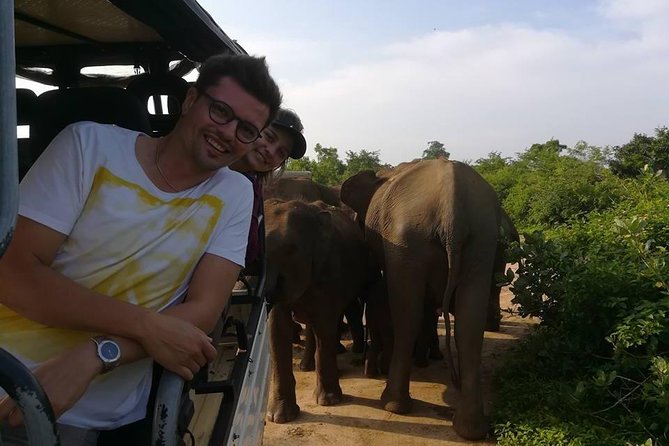 Udawalawe National Park Private 4 Hours Safari Tour - Wildlife Observation and Experiences