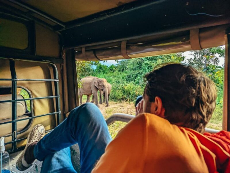 Udawalawe National Park: Private 4 Hours Safari Trip - Wildlife Experience