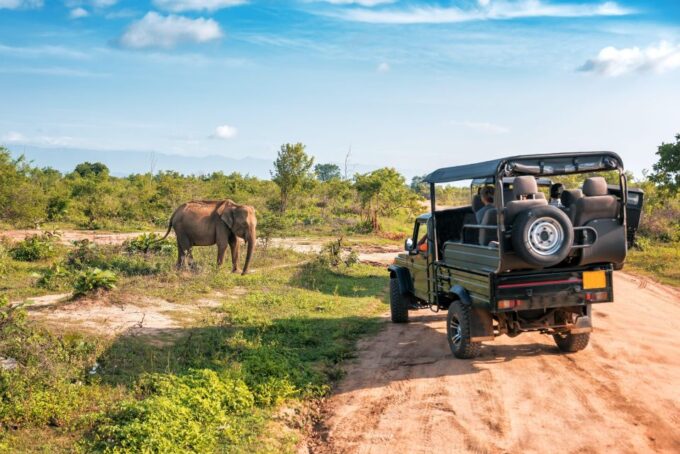 Udawalawe National Park: Private 4 Hours Safari Trip - Breakfast or Lunch Provided