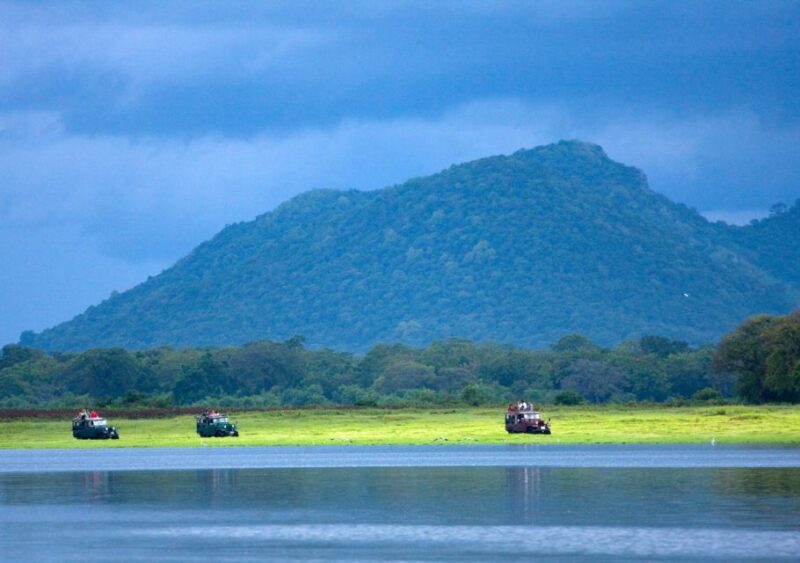 Udawalawe National Park Private Full-Day Safari - Key Points