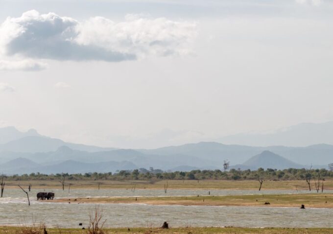 Udawalawe National Park Private Full-Day Safari - Accessibility and Restrictions