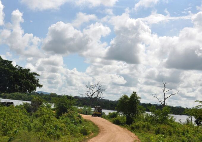 Udawalawe National Park Private Full-Day Safari - Booking and Payment