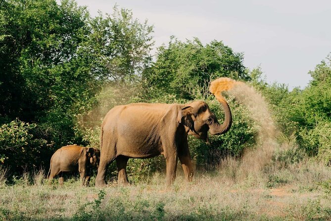 Udawalawe National Park | Private Safari - Cancellation Policy