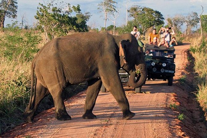 Udawalawe National Park Private Safari - Health and Access Considerations