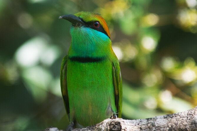 Udawalawe National Park | Private Safari Tour - Explore Udawalawe