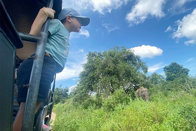 Udawalawe National Park | Private Safari Tour - Memorable Experience