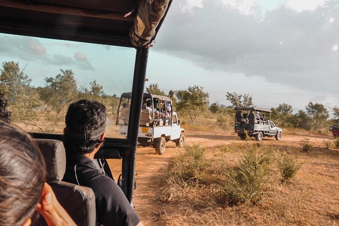 Udawalawe National Park Private Safari With Naturalist - Flexible Scheduling Options