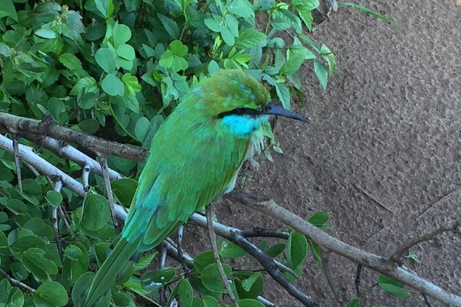 Udawalawe National Park | Private Safari With Naturalist - Customer Reviews Highlights