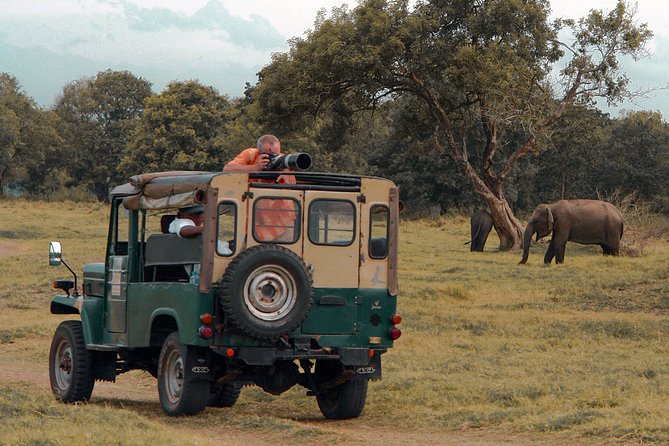 Udawalawe National Park Safari From Galle - Pricing and Reviews