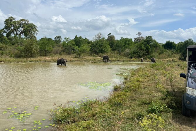 Udawalawe National Park Safari From Hambantota - Inclusions of the Safari Package